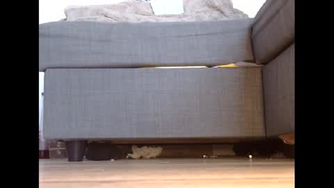 Snapshot of wet_pants2022 chatting on 02/27/25, 04:43 wet_pants2022 online show from 02/27/25, 04:43