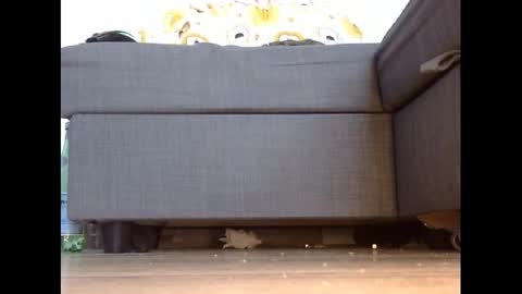 Snapshot of wet_pants2022 chatting on 03/03/25, 04:46 wet_pants2022 online show from 03/03/25, 04:46