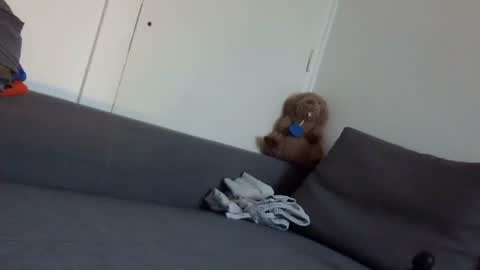 Snapshot of wet_pants2022 chatting on 09/22/25, 07:10 wet_pants2022 online show from 09/22/25, 07:10