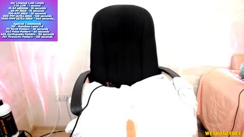 Snapshot of wethoneybee chatting on 02/03/25, 02:03 Mina online show from 02/03/25, 02:03