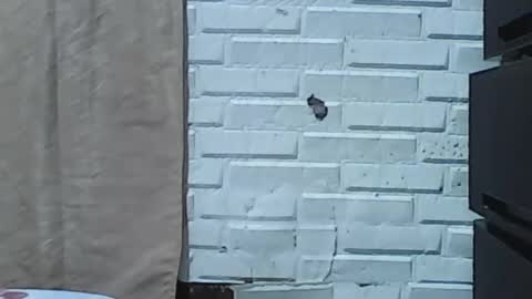 wettyhottie69 online show from 02/03/26, 06:11