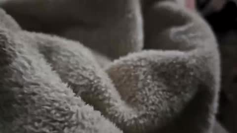 Snapshot of what_whaaat chatting on 11/02/25, 09:11 what_whaaat online show from 11/02/25, 09:11