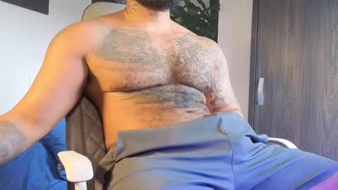 Will online show from 02/17/26, 12:23