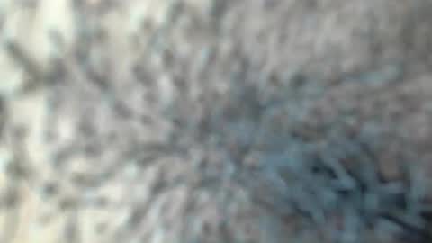 white_sexy_ online show from 01/18/26, 11:30