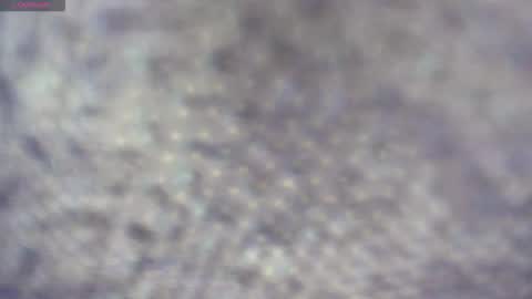 Snapshot of white_sexy_ chatting on 03/20/26, 08:57 white_sexy_ online show from 03/20/26, 08:57