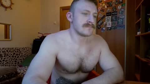 WhiteBull online show from 02/08/26, 06:06