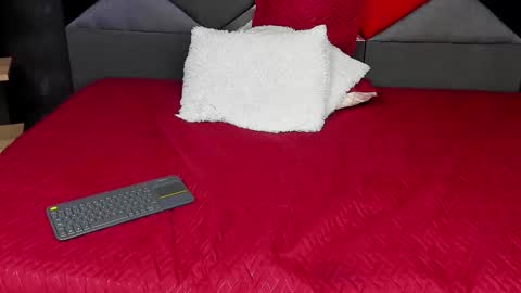 Dylan white online show from 03/10/25, 09:29