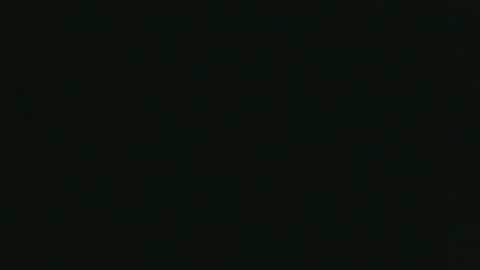 whitehead_lion online show from 10/26/25, 05:52