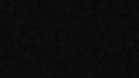 whitehead_lion online show from 03/31/26, 06:52