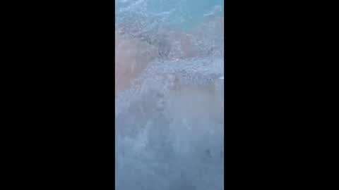 whiteoak19522 online show from 03/29/26, 11:32