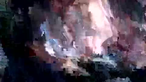 whitpine1 online show from 04/09/26, 03:06