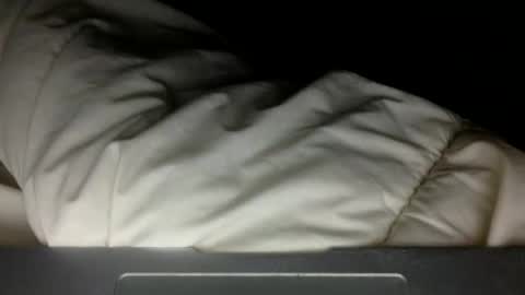 wholesomebull00 online show from 11/10/25, 04:55