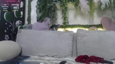 wiagra online show from 11/12/25, 08:48