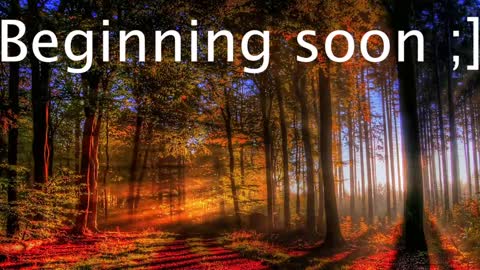 Wiedz online show from 01/02/25, 11:06