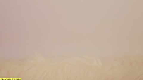 Snapshot of wild_schoolgirl chatting on 01/13/25, 10:24 wild_schoolgirl online show from 01/13/25, 10:24