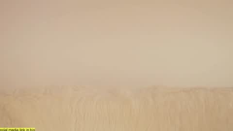 Snapshot of wild_schoolgirl chatting on 01/18/25, 09:45 wild_schoolgirl online show from 01/18/25, 09:45