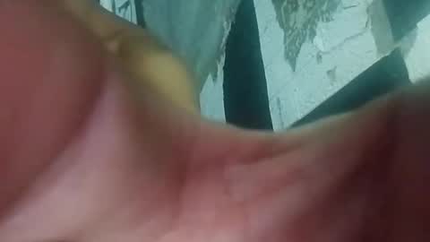 wildasshole123 online show from 11/29/25, 12:19