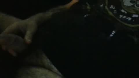 Snapshot of wildealexyz chatting on 09/28/25, 11:21 WildeAlex online show from 09/28/25, 11:21