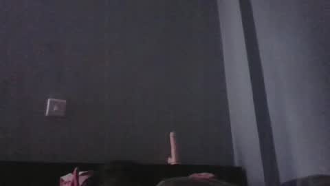 Snapshot of wildfiery chatting on 11/29/25, 04:59 wildfiery online show from 11/29/25, 04:59