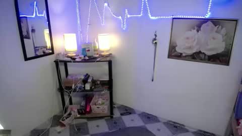 Snapshot of wildflowermitch chatting on 11/27/25, 06:54 Mitch online show from 11/27/25, 06:54