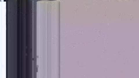 wildman6 online show from 12/01/24, 07:36