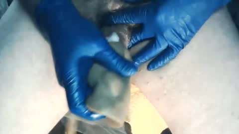 wildman6 online show from 11/07/25, 08:20