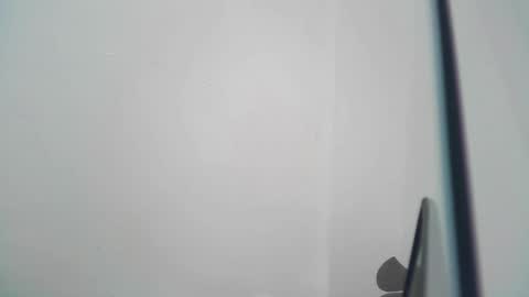 Snapshot of wildtightass chatting on 12/19/24, 04:56 Rhean online show from 12/19/24, 04:56