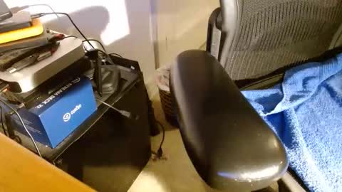 wildwills online show from 04/14/26, 12:38