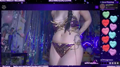 Snapshot of wildwylie chatting on 02/27/26, 05:29 Wylie Wanderlust online show from 02/27/26, 05:29