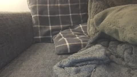 will_yng online show from 01/30/25, 05:06