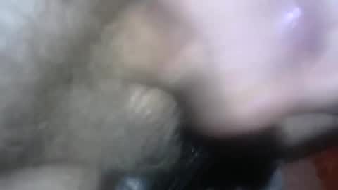 Snapshot of willcam22 chatting on 04/15/26, 03:08 willcam22 online show from 04/15/26, 03:08