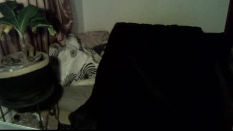 Snapshot of willingwillwet chatting on 12/18/24, 03:11 Call me Babe online show from 12/18/24, 03:11