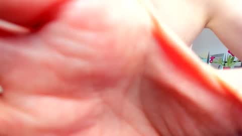 Snapshot of willlytr chatting on 02/20/25, 09:55 Wilhelmina better Willy online show from 02/20/25, 09:55