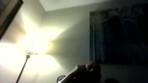 Willhedoher online show from 03/01/26, 12:51