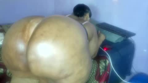 wilmaassylum online show from 11/14/25, 07:51