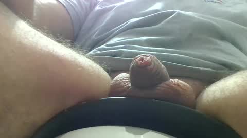 windowpane online show from 02/01/25, 02:16