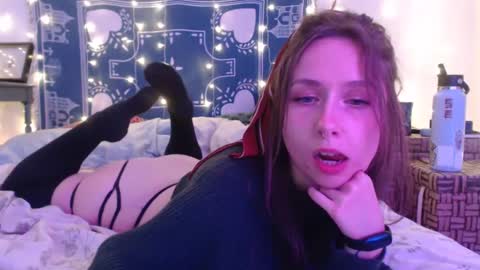 Snapshot of wingardiumleveveosa chatting on 12/16/24, 05:38 Eevie online show from 12/16/24, 05:38