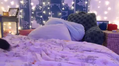 Snapshot of wingardiumleveveosa chatting on 12/19/24, 06:23 Eevie online show from 12/19/24, 06:23