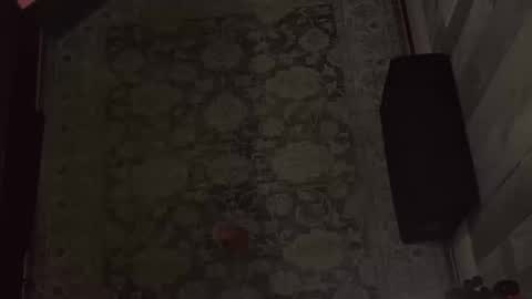 Snapshot of wipwips chatting on 02/11/26, 06:40 KiwiFruit89 online show from 02/11/26, 06:40