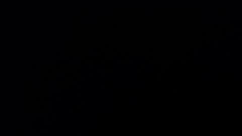 Annie online show from 02/19/25, 09:03