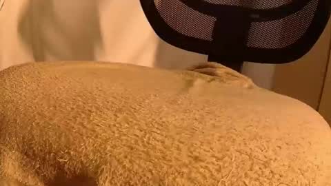 Snapshot of withbothhandsplease chatting on 11/14/25, 05:44 Mater online show from 11/14/25, 05:44