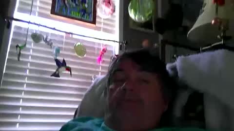 wldlife online show from 05/28/26, 05:10