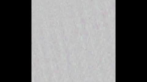 wnhz27 online show from 11/25/25, 10:37