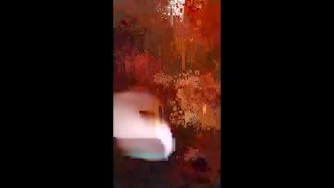 Snapshot of woalse32 chatting on 11/05/25, 06:35 Topic the Rapper online show from 11/05/25, 06:35