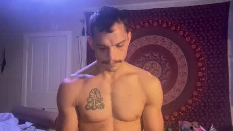 Snapshot of wolfblazer5 chatting on 01/28/25, 11:17 Wolfblazer online show from 01/28/25, 11:17