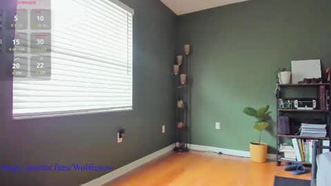 Snapshot of wolfiell chatting on 12/27/24, 03:37 Wolfienov online show from 12/27/24, 03:37