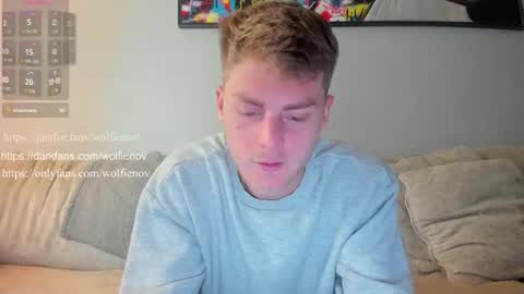 Snapshot of wolfiell chatting on 02/01/25, 02:34 Wolfienov online show from 02/01/25, 02:34