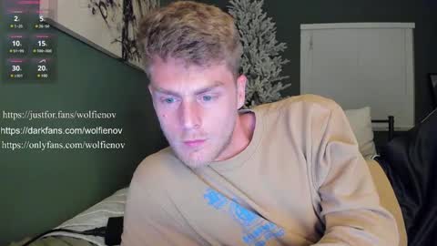 Snapshot of wolfiell chatting on 02/06/25, 06:29 Wolfienov online show from 02/06/25, 06:29