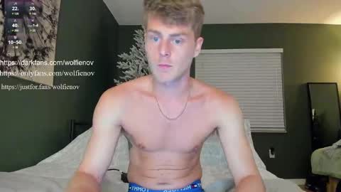 Snapshot of wolfiell chatting on 02/14/25, 12:51 Wolfienov online show from 02/14/25, 12:51