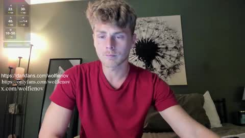 Snapshot of wolfiell chatting on 03/04/25, 01:45 Wolfienov online show from 03/04/25, 01:45